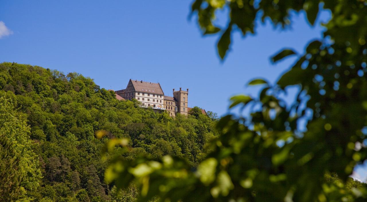 Schloss Weitenburg Starzach Екстериор снимка